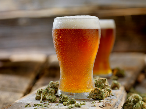 A pint of beer surrounded by buds of marijuana